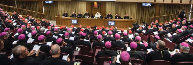 The Synod on the Family The Synod on the Family