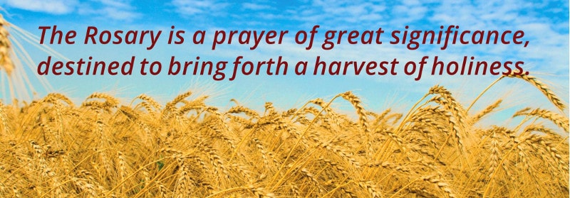 The promised harvest The promised harvest