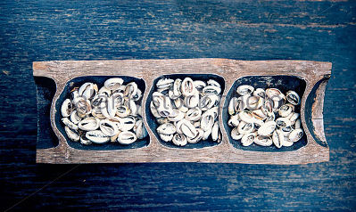 Cowrie shells